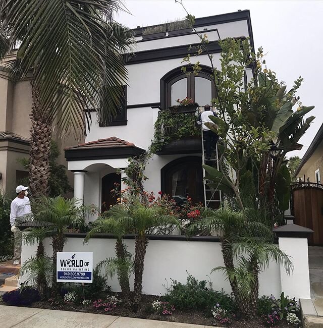 Gallery — World Of Color Painting