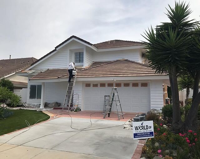 Gallery — World Of Color Painting