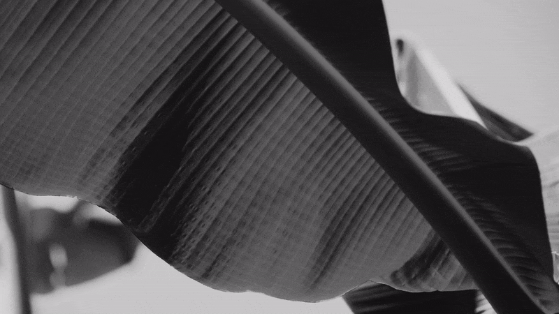 ezgif.com-optimize (11).gif