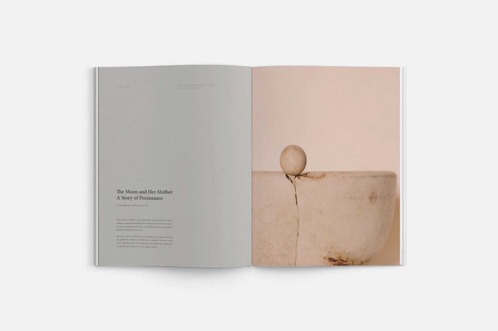 water-journal-volume-five-1.jpg