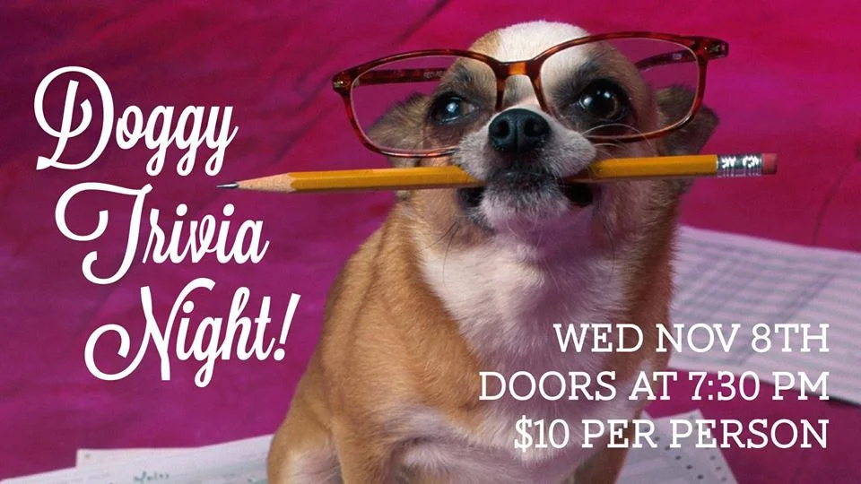Doggy Trivia Night