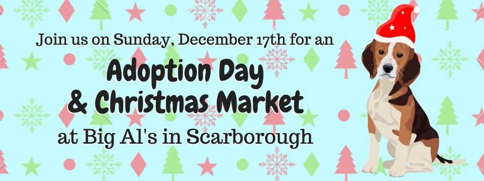 Adoption Day & Christmas Market @ Big Al’s Scarborough