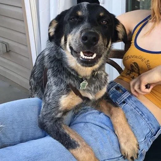 Nash