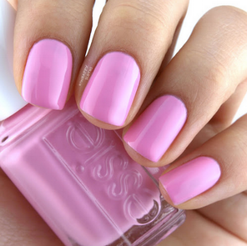 picture via thehappysloths.com