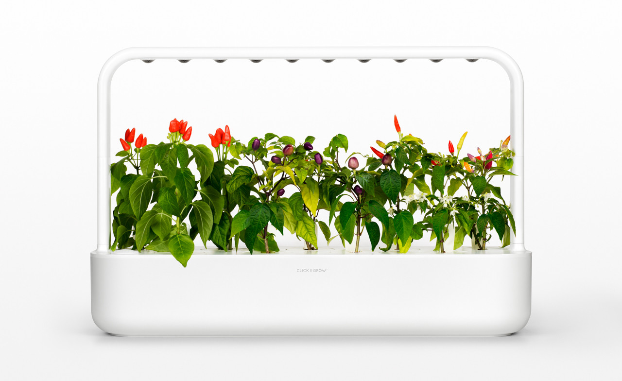 CLICKANDGROW-1.jpg