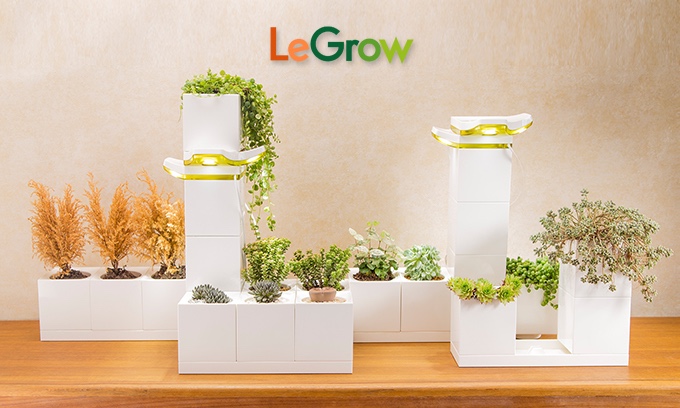 LEGROW-1.jpg