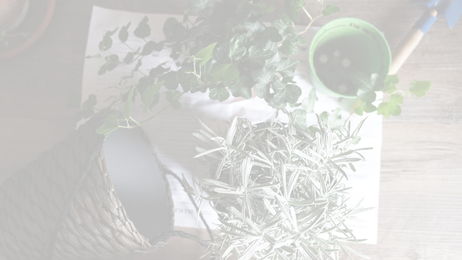 UPUS-MIX-BANNER-WHITE-giulia-bertelli-116360.png