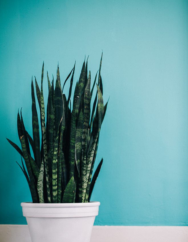 mix-gallery-853.png