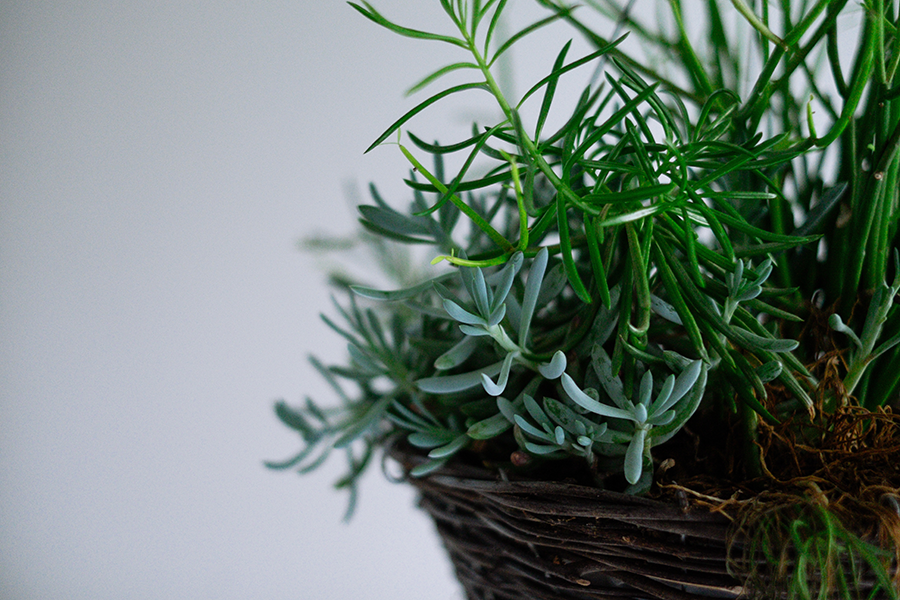 mix-gallery-pexels-photo-24833.png