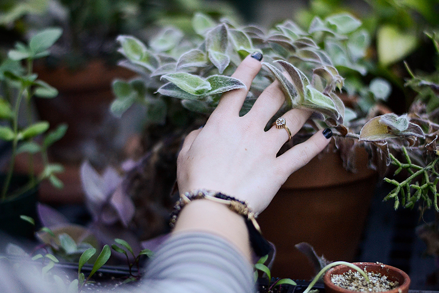 mix-gallery-pexels-photo-106171.png
