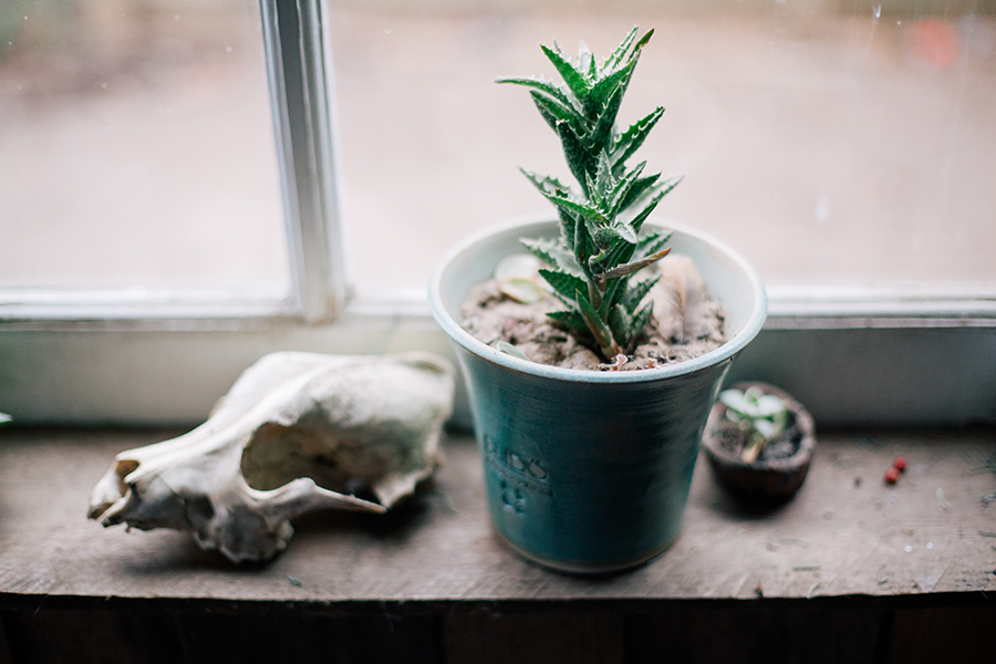 mix-gallery-pexels-photo-199851.png