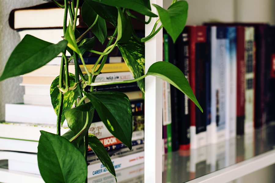 mix-gallery-pexels-photo-298660.png