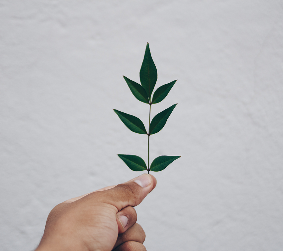 mix-gallery-pexels-photo-325702.png