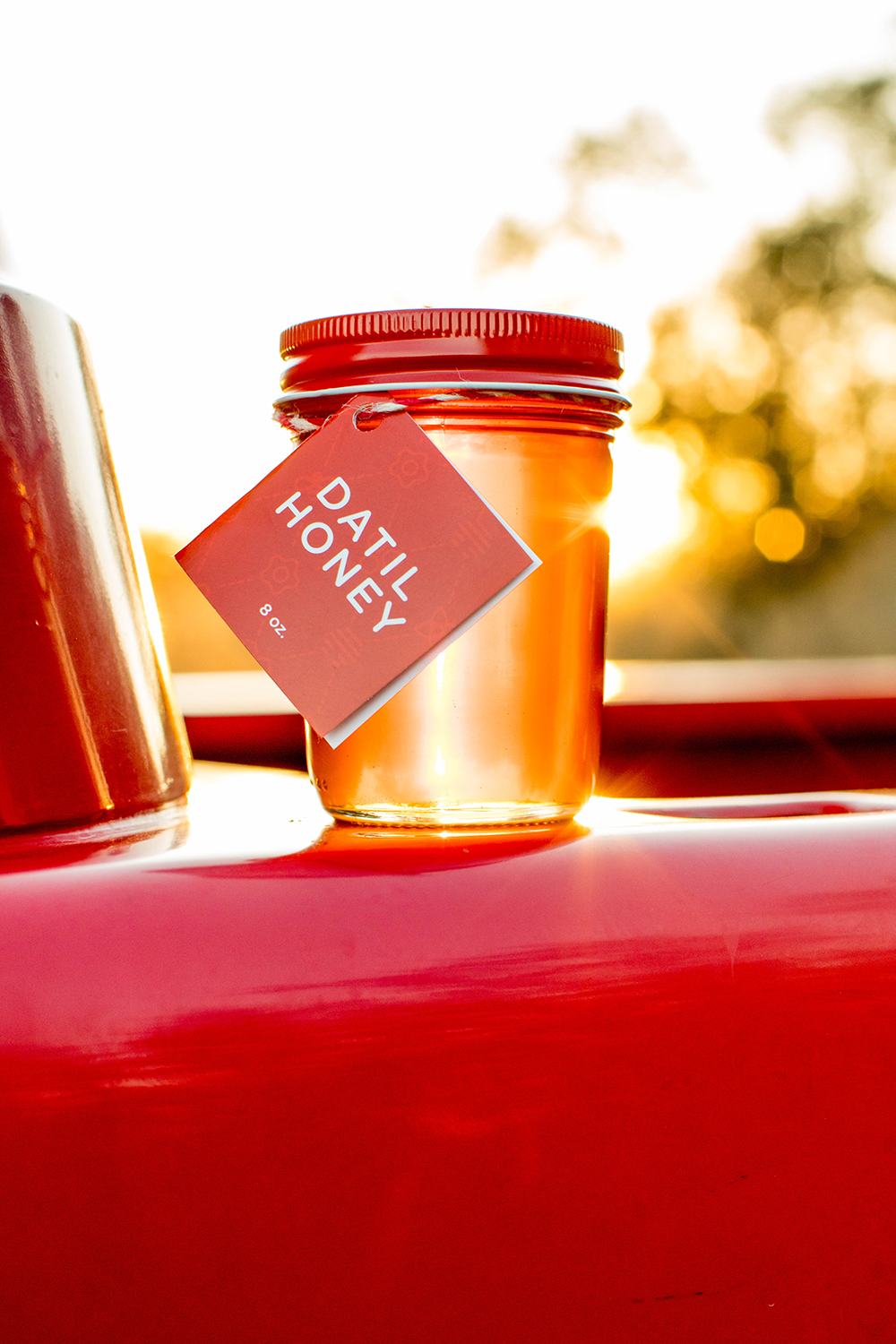 honeytruckco-datil-honey-1.png