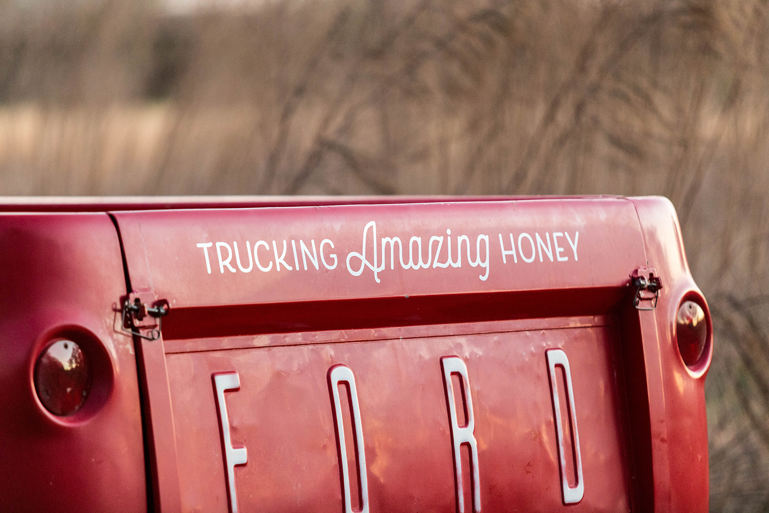 honeytruckco-truck-6.png