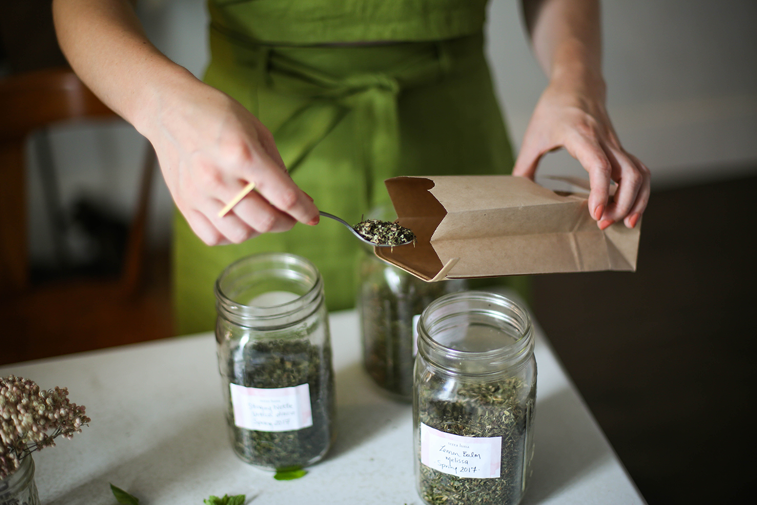 WEB-Terra-Luna-about-philadelphia-herbal.png