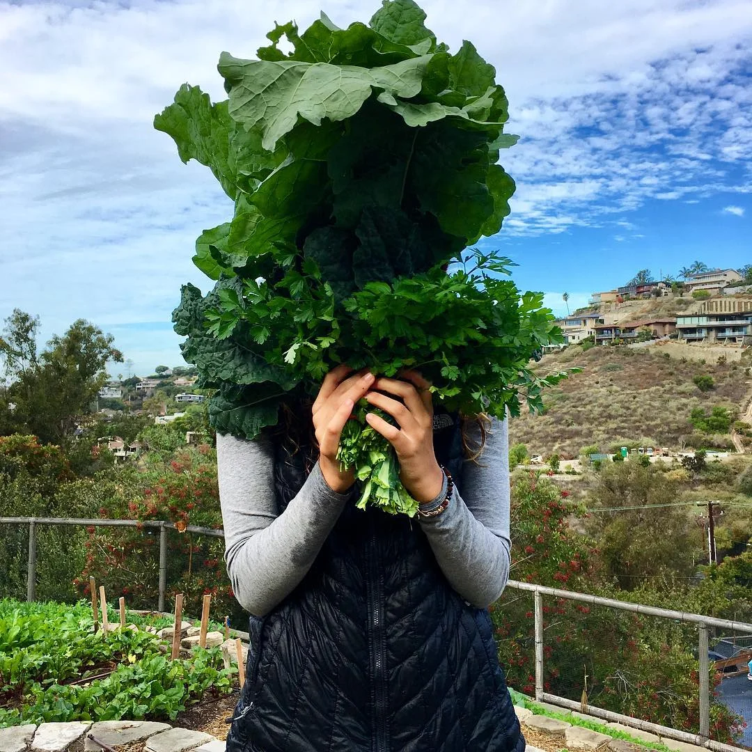 honeygirlgrows_27893357_1247479602062958_6699443769604833280_n.jpg