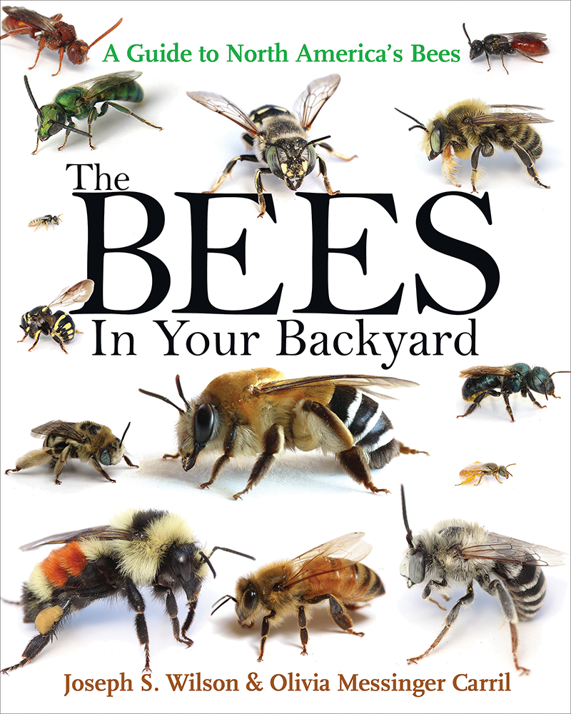 Bees In Your Backyard