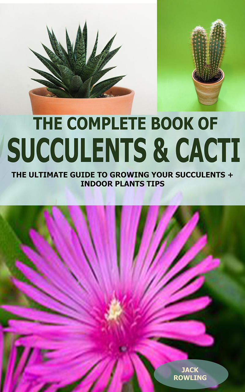 The Complete Book Of Succulents & Cacti