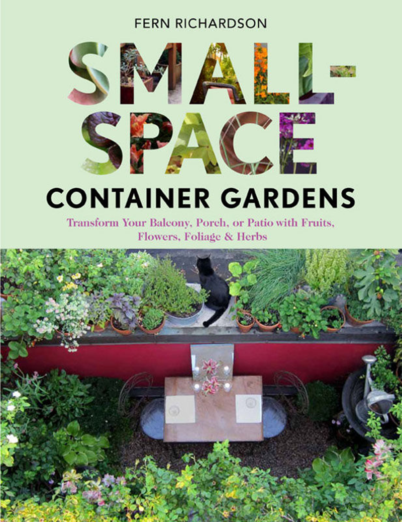 Small Space Container Gardens