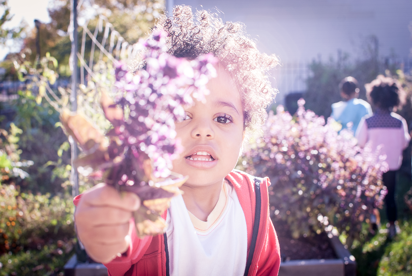 flance-early-learning-center-(KAYLA).png