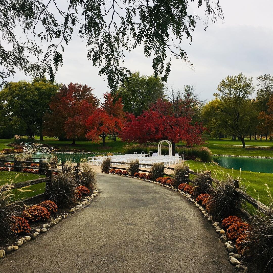 #fallwedding #chitheewed @brylandphoto