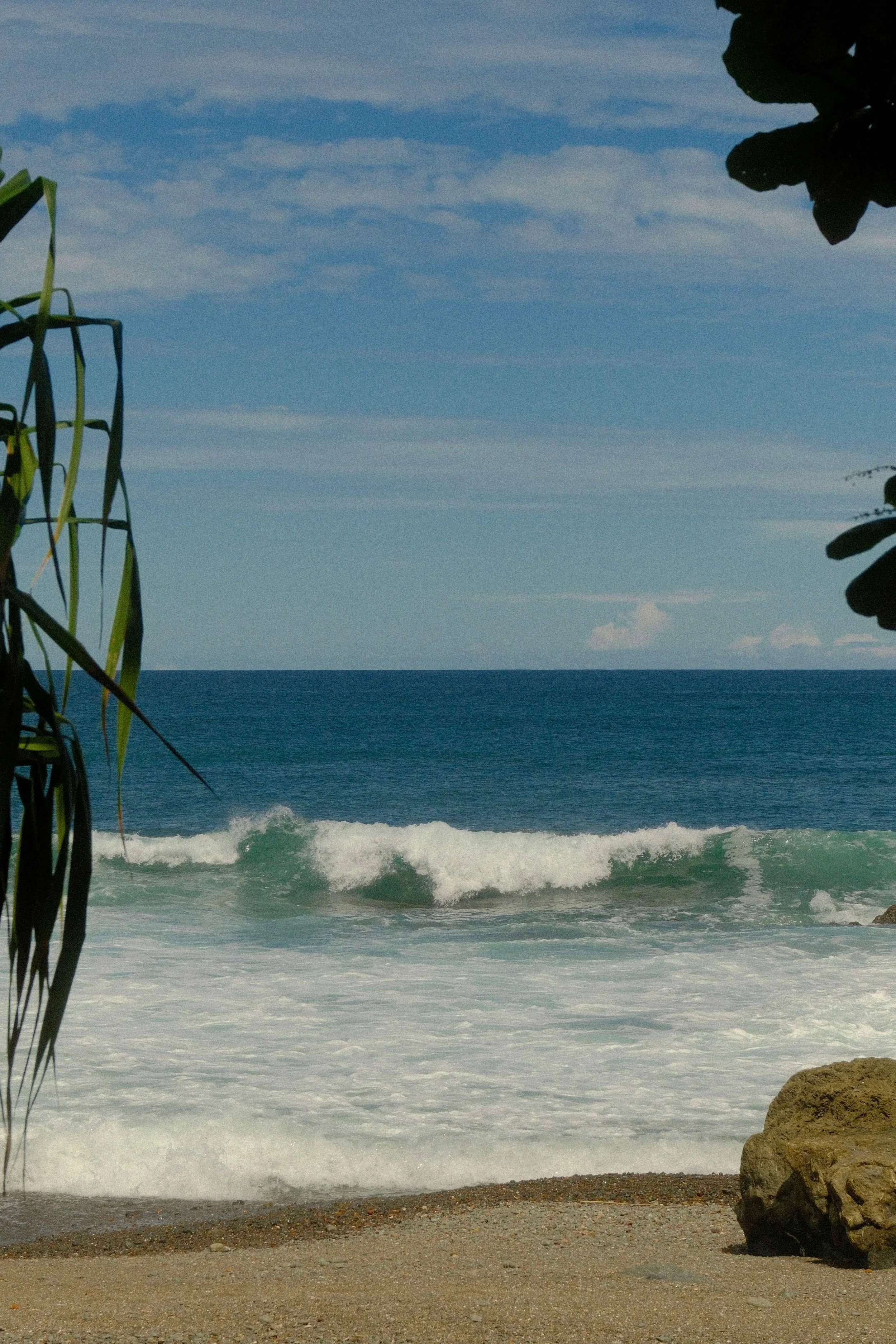 DSCF3094.jpg