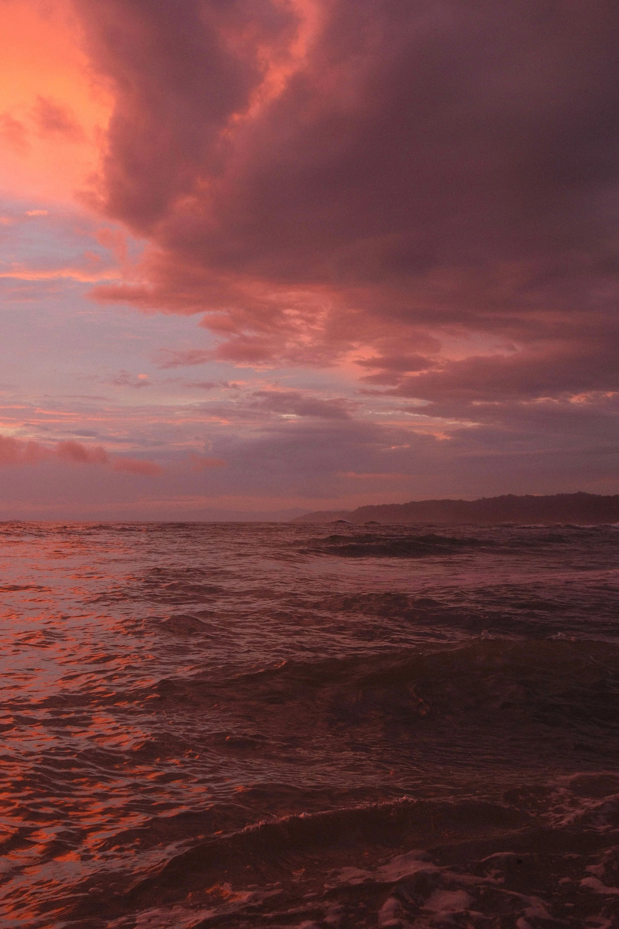 DSCF2750.jpg