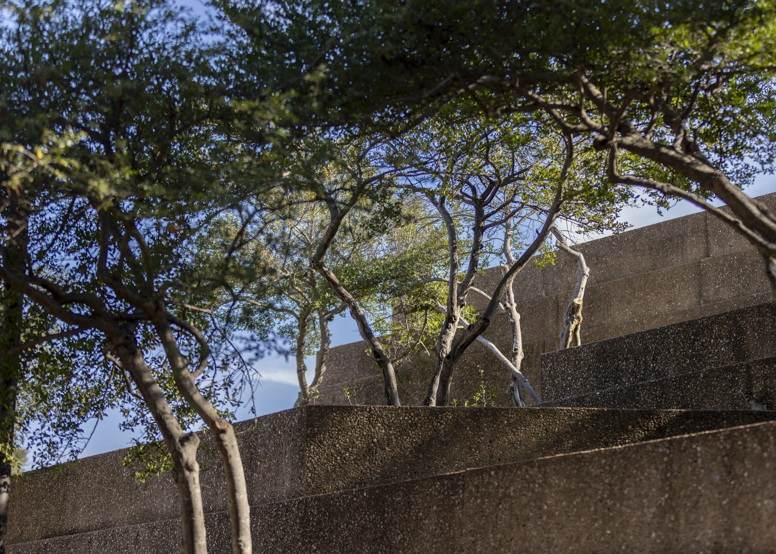 photo walk 1.4.24-2.JPG