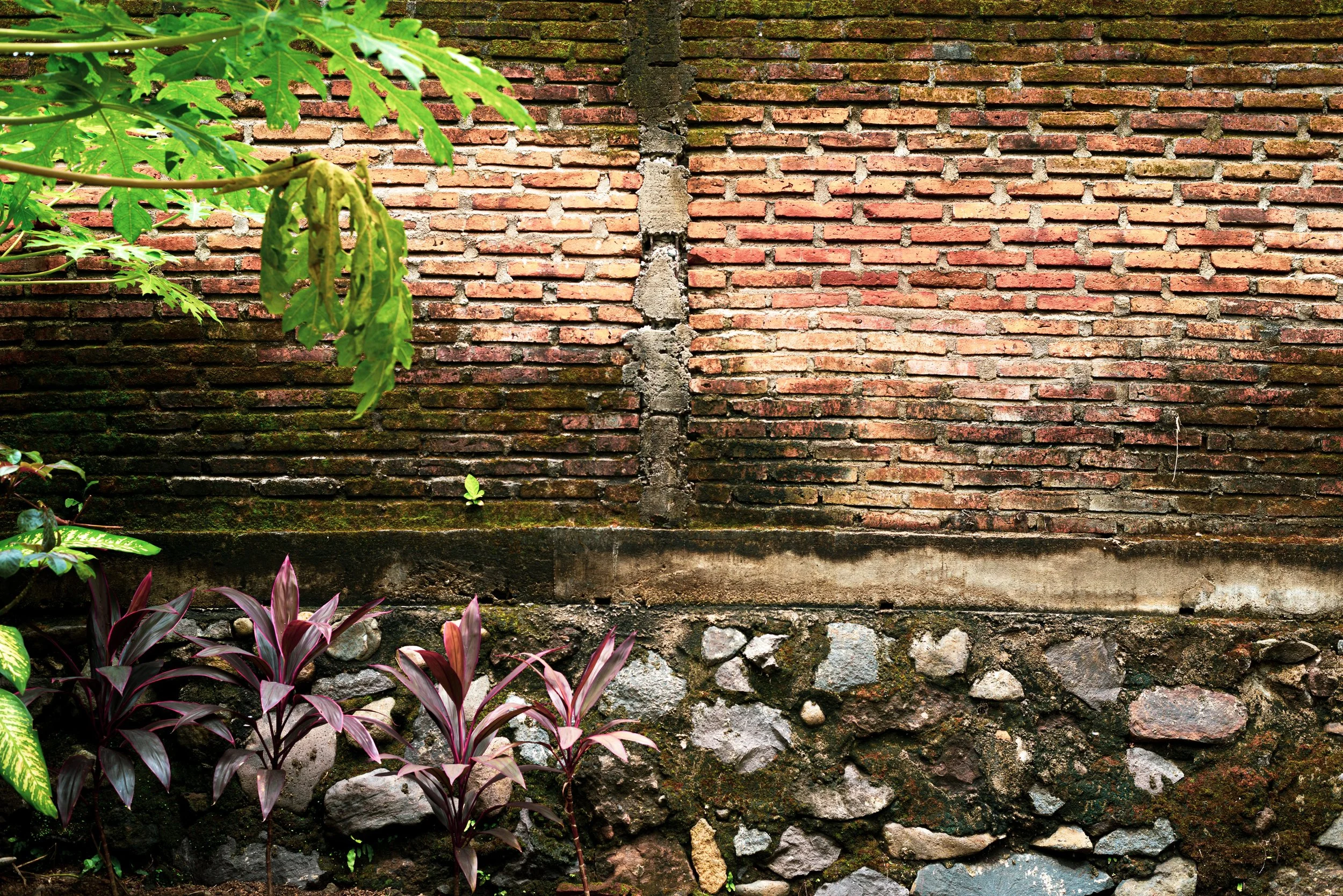 1 garden.jpg