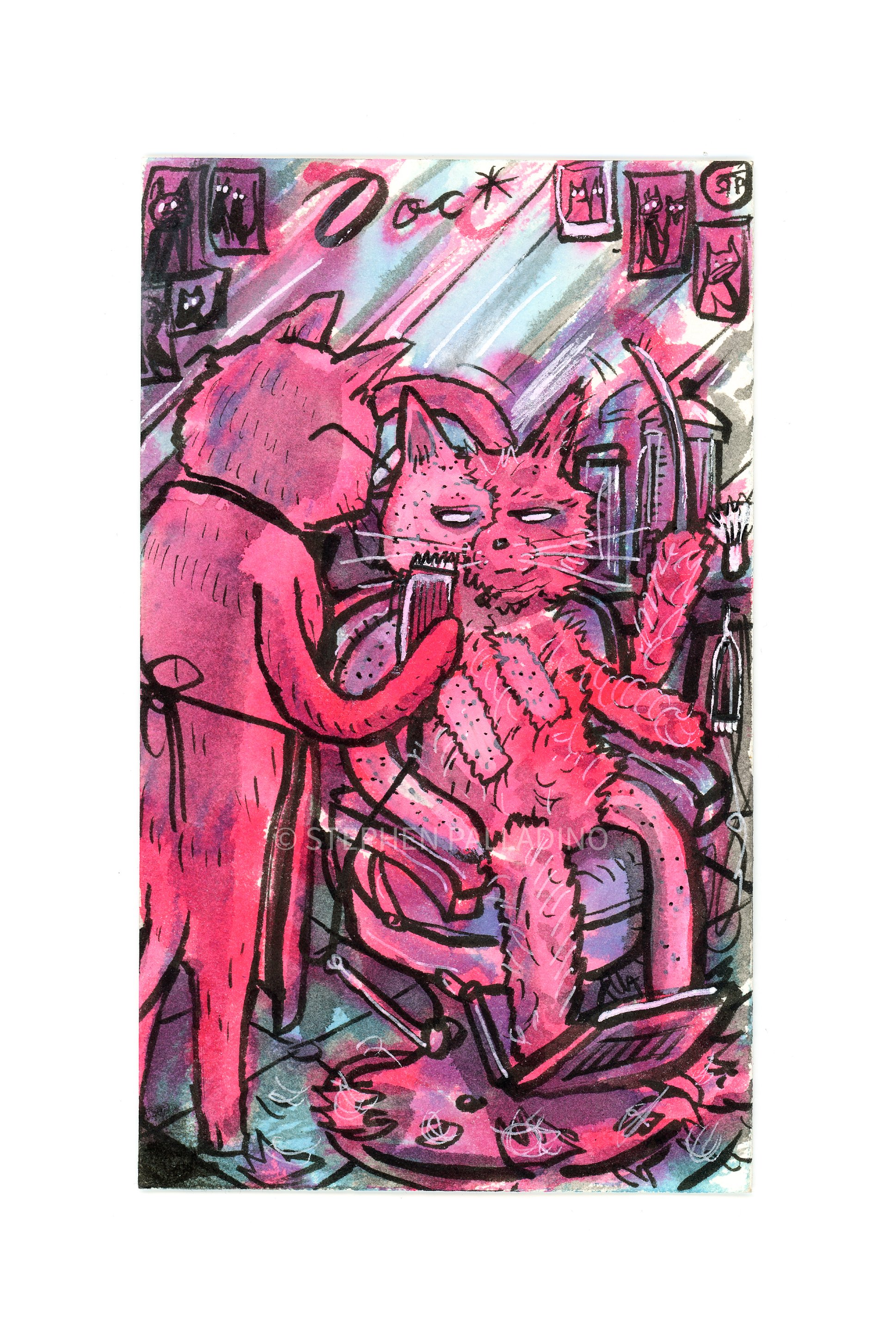 Cat Clips