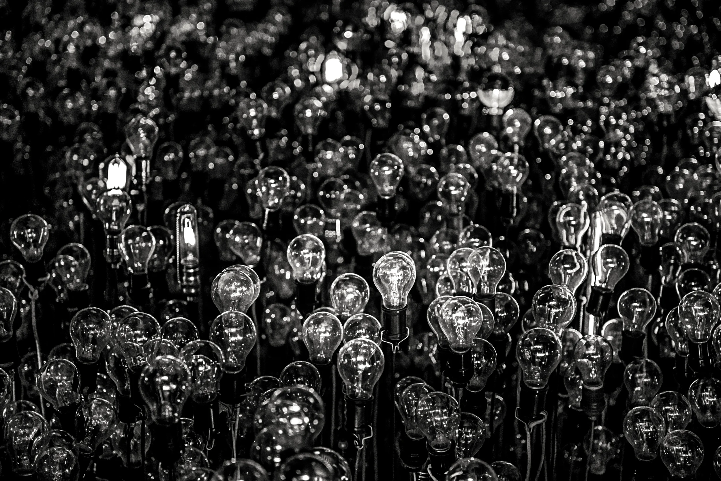 A6Y_0467 bw.jpg