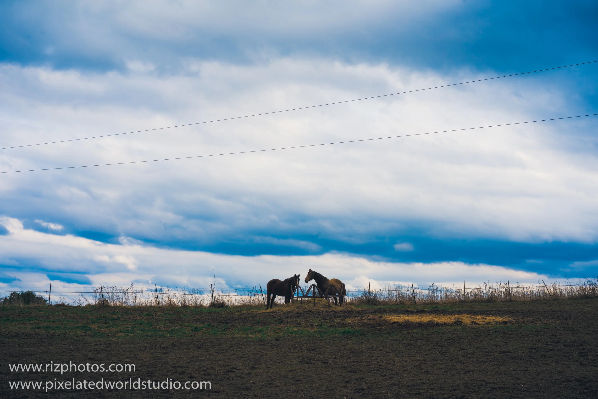 DSC02075-Edit.JPG
