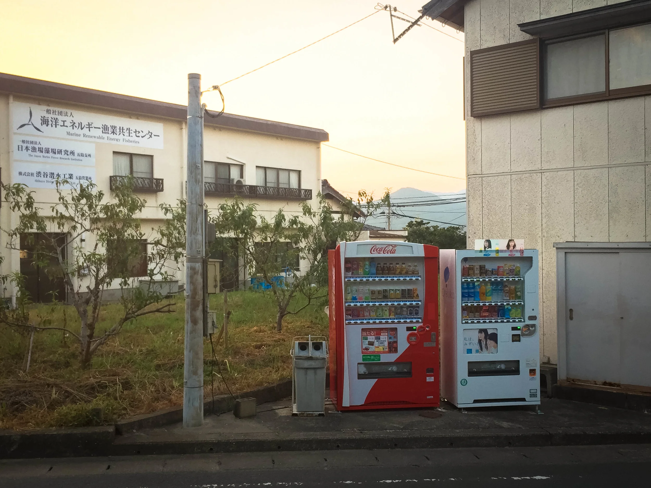 Okay I see that this one has a trash bin beside it but they don't always 