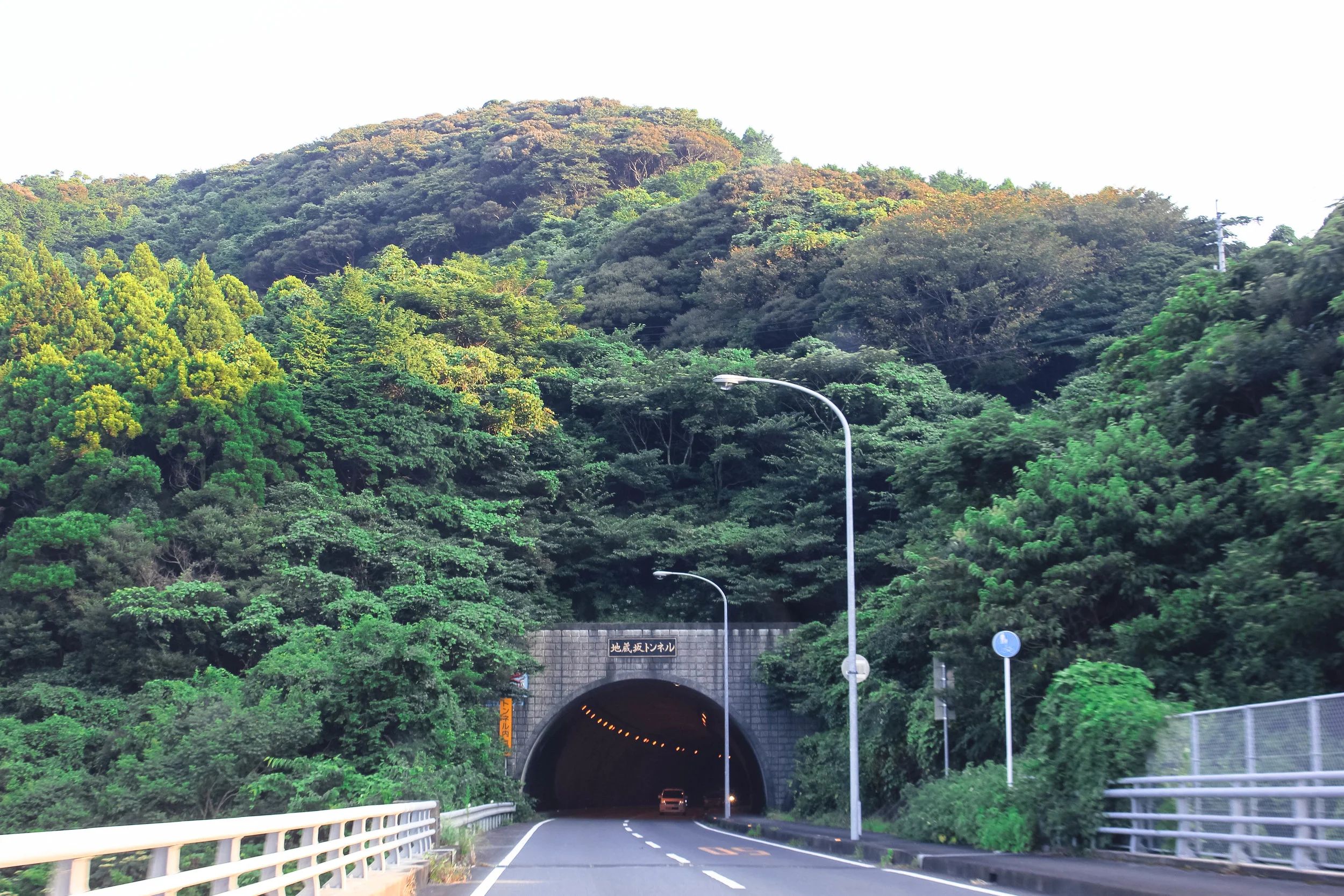 Not a vending machine... but these tunnels are my favourite just peaking out from the nature. 