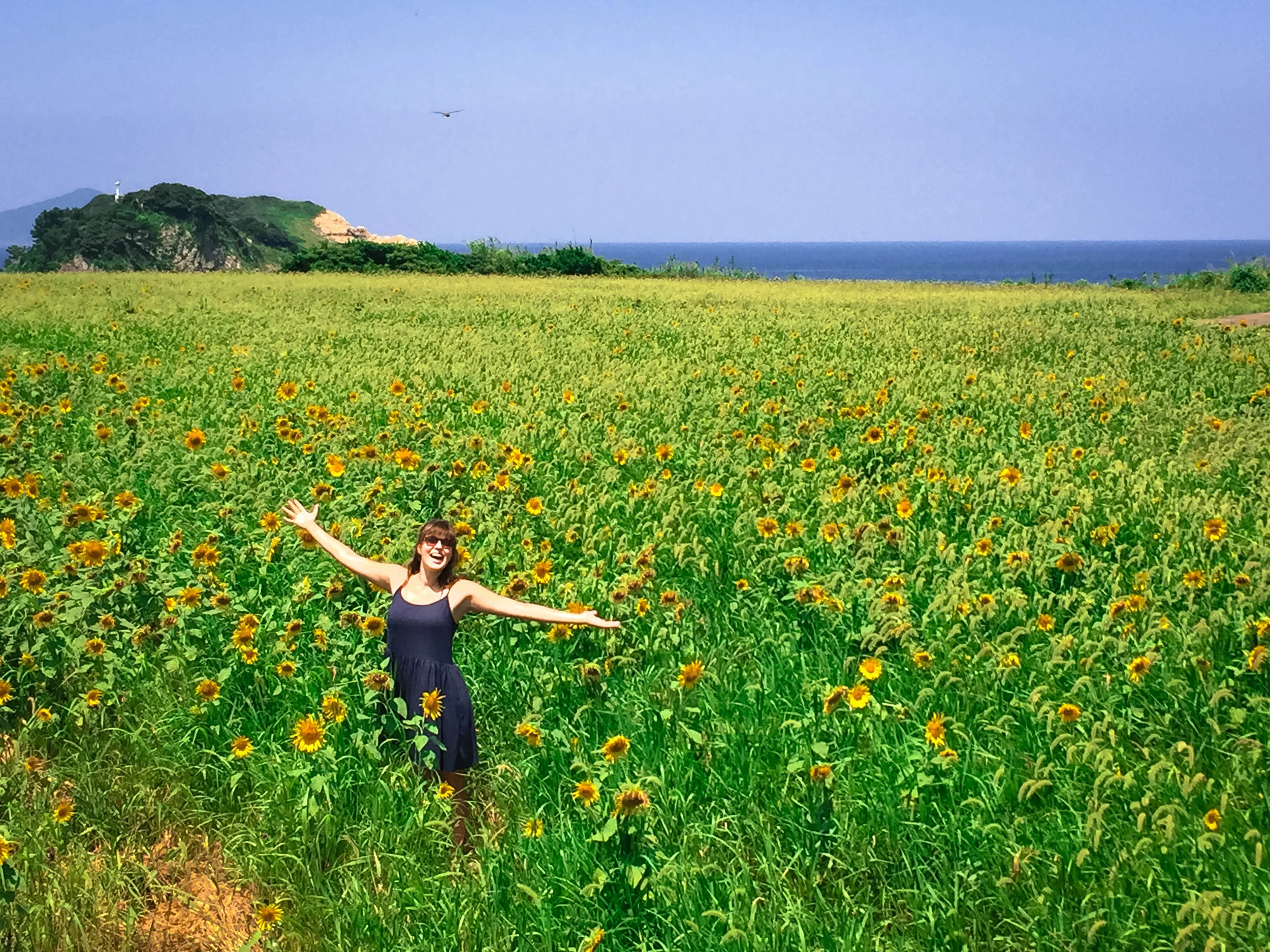 I found some flowers. 