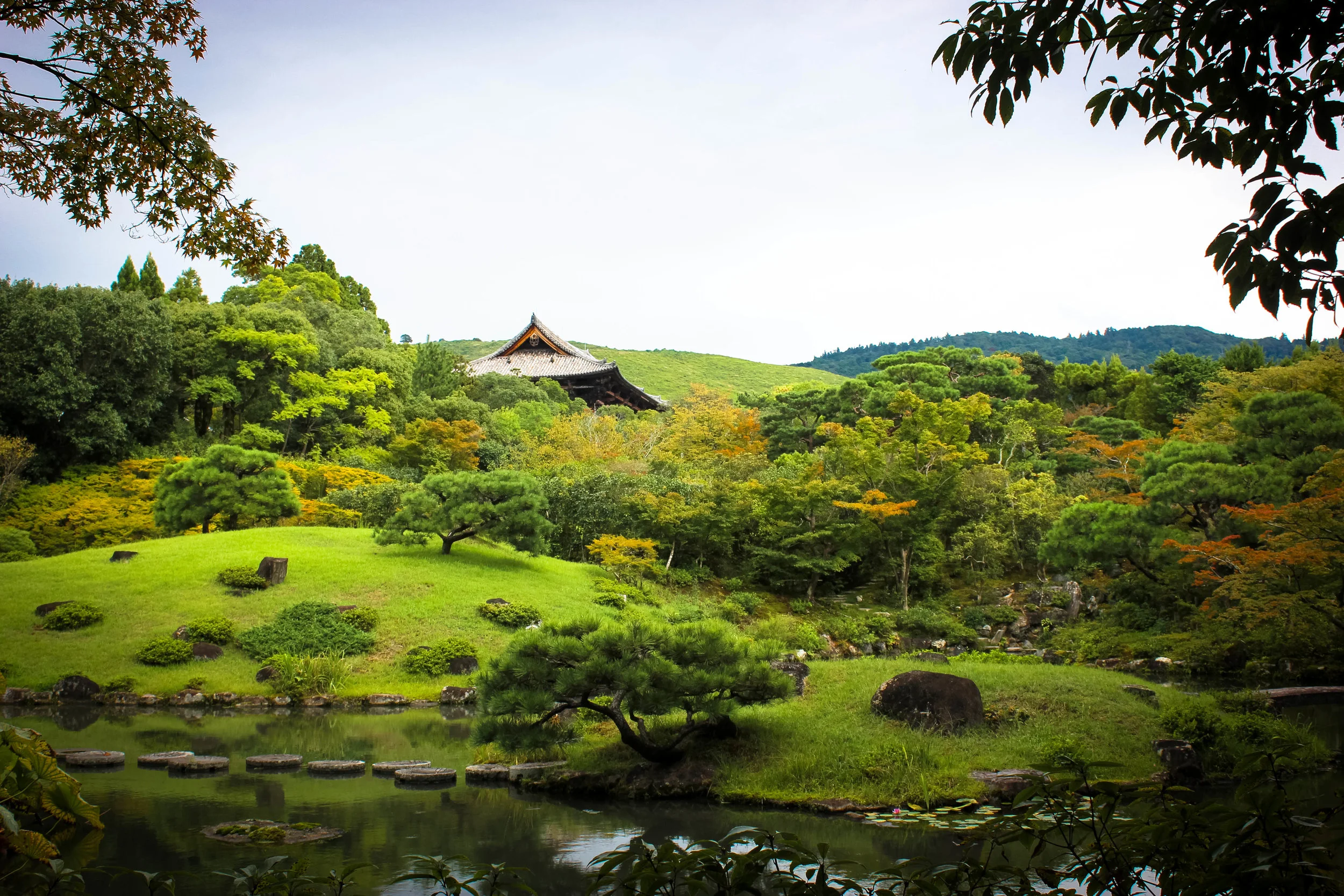 Nara sneak peak! A wild change from Osaka only a 40 minute train ride away. 