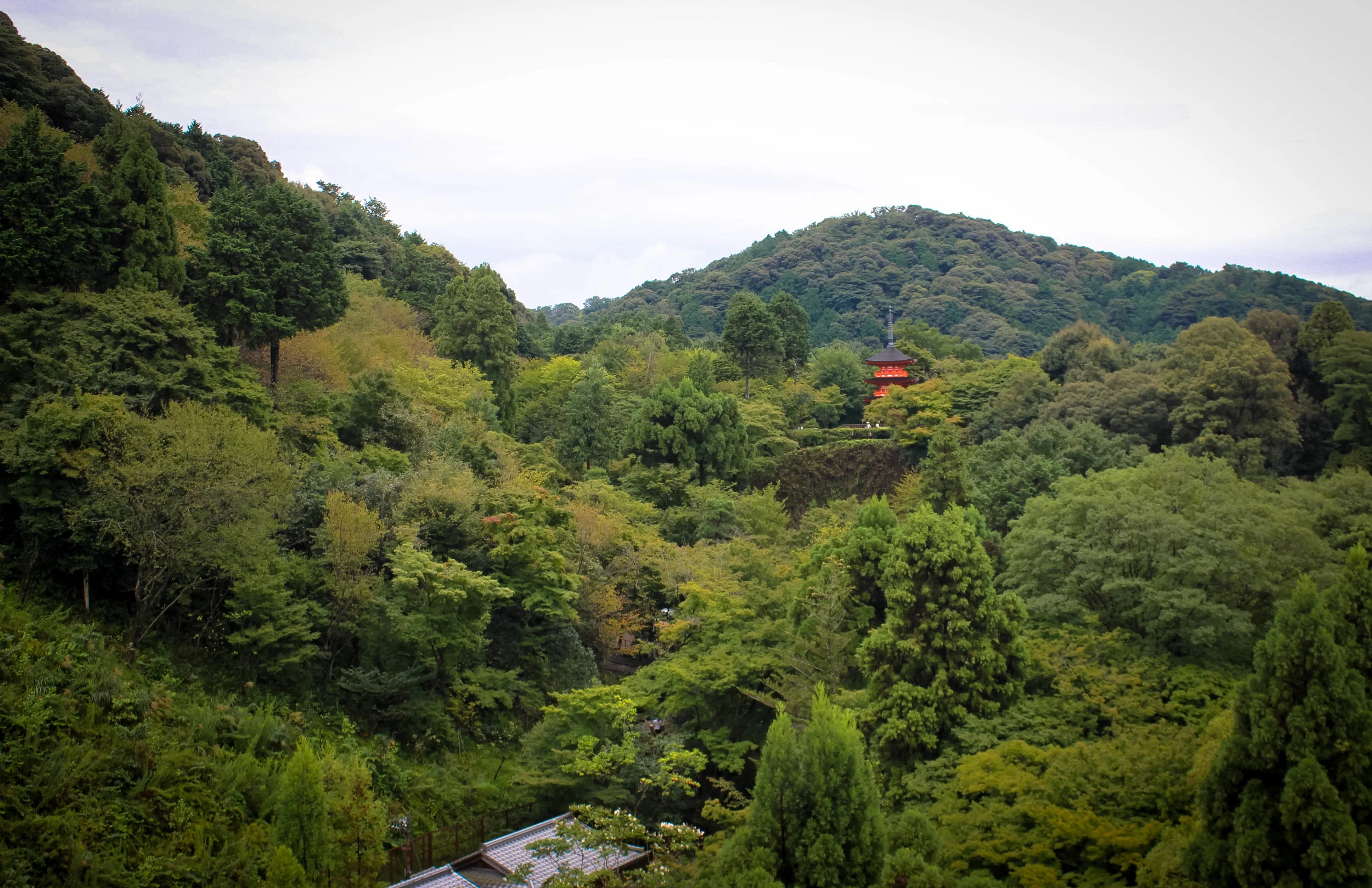 Kiyomizu-dera. Well known for this view in the fall as the colours turn vibrant shades of red and orange. However, I heard that the peak fall colours don't appear until mid-November due to the climate.
