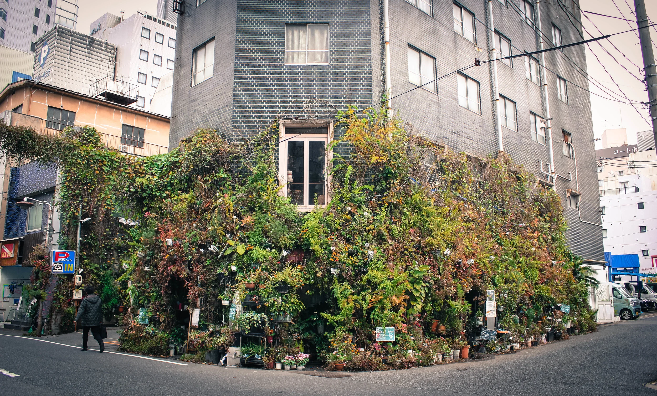 Beautiful house goals. 