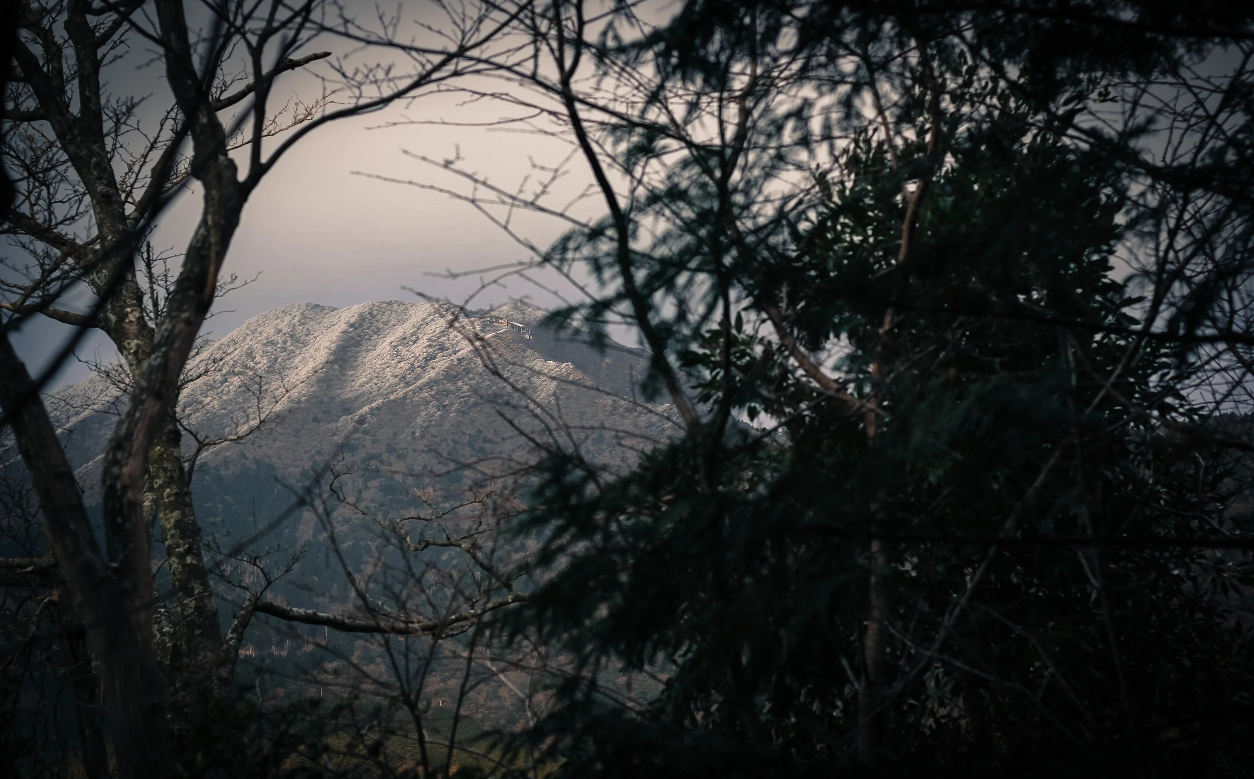 Hoar frost atop Mount Unzen