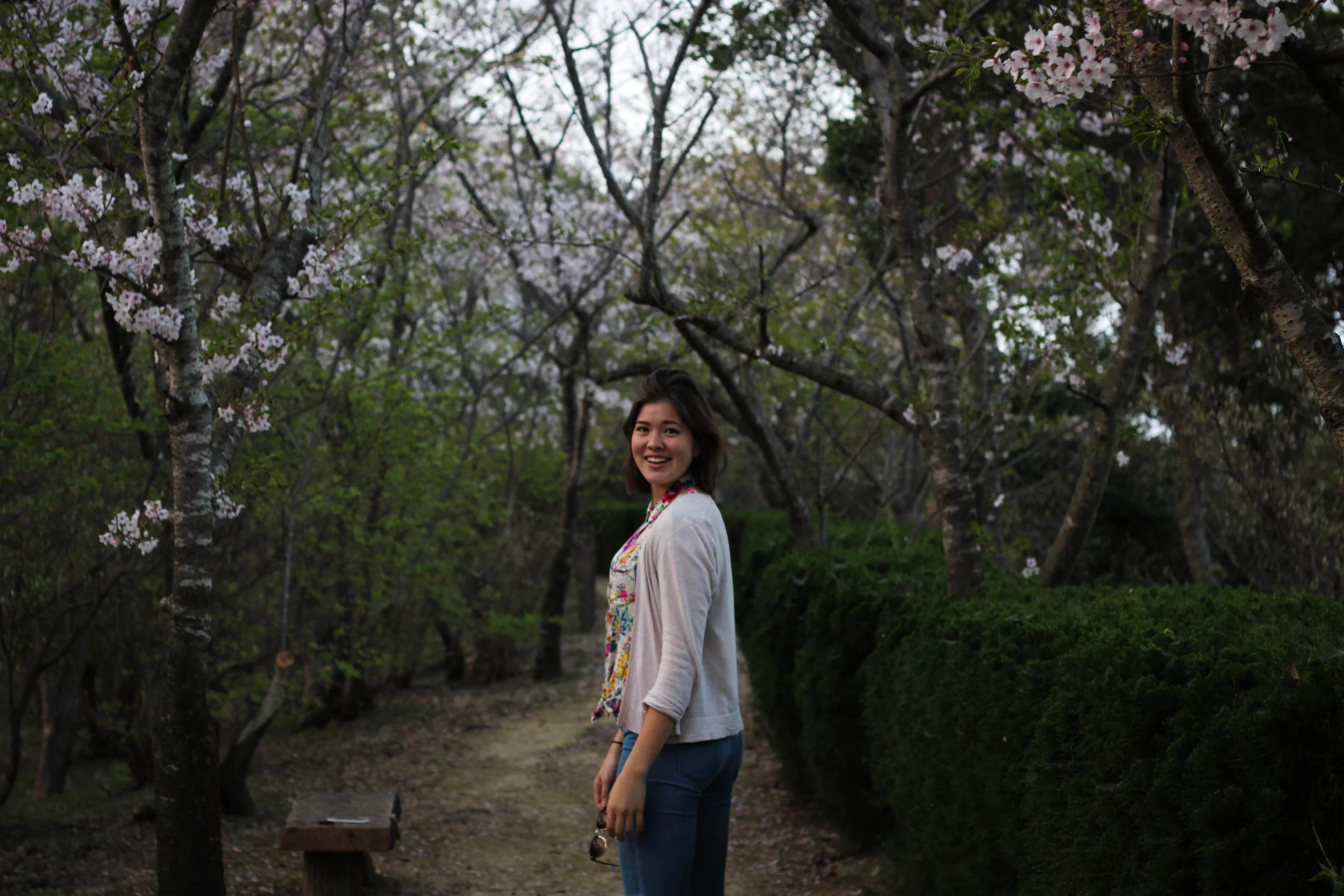 Is it really a sakura season if you don't have a photoshoot to document it?