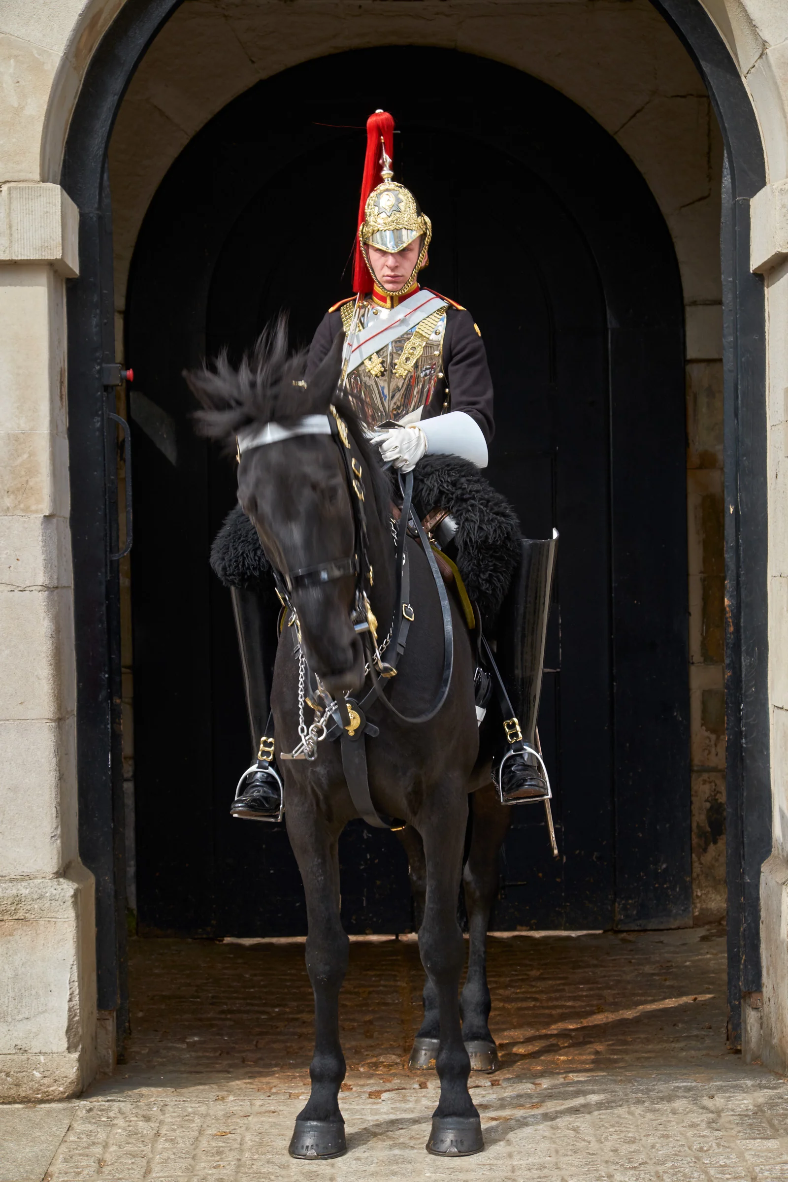 Cavalry Guard - The Blues and Royals