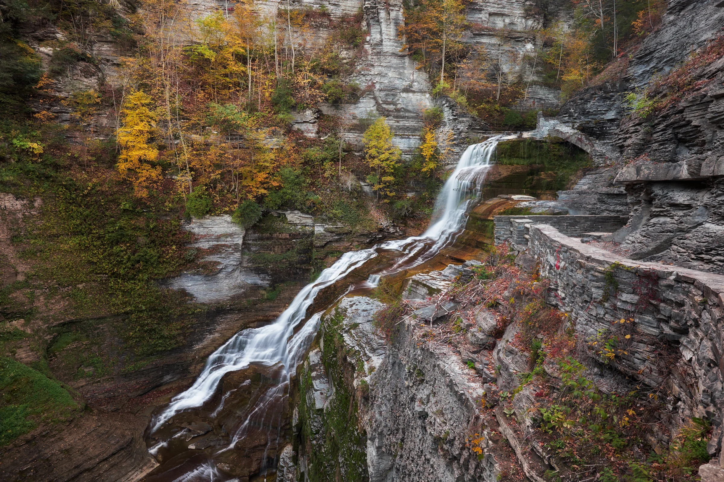 Robert H. Treman State Park