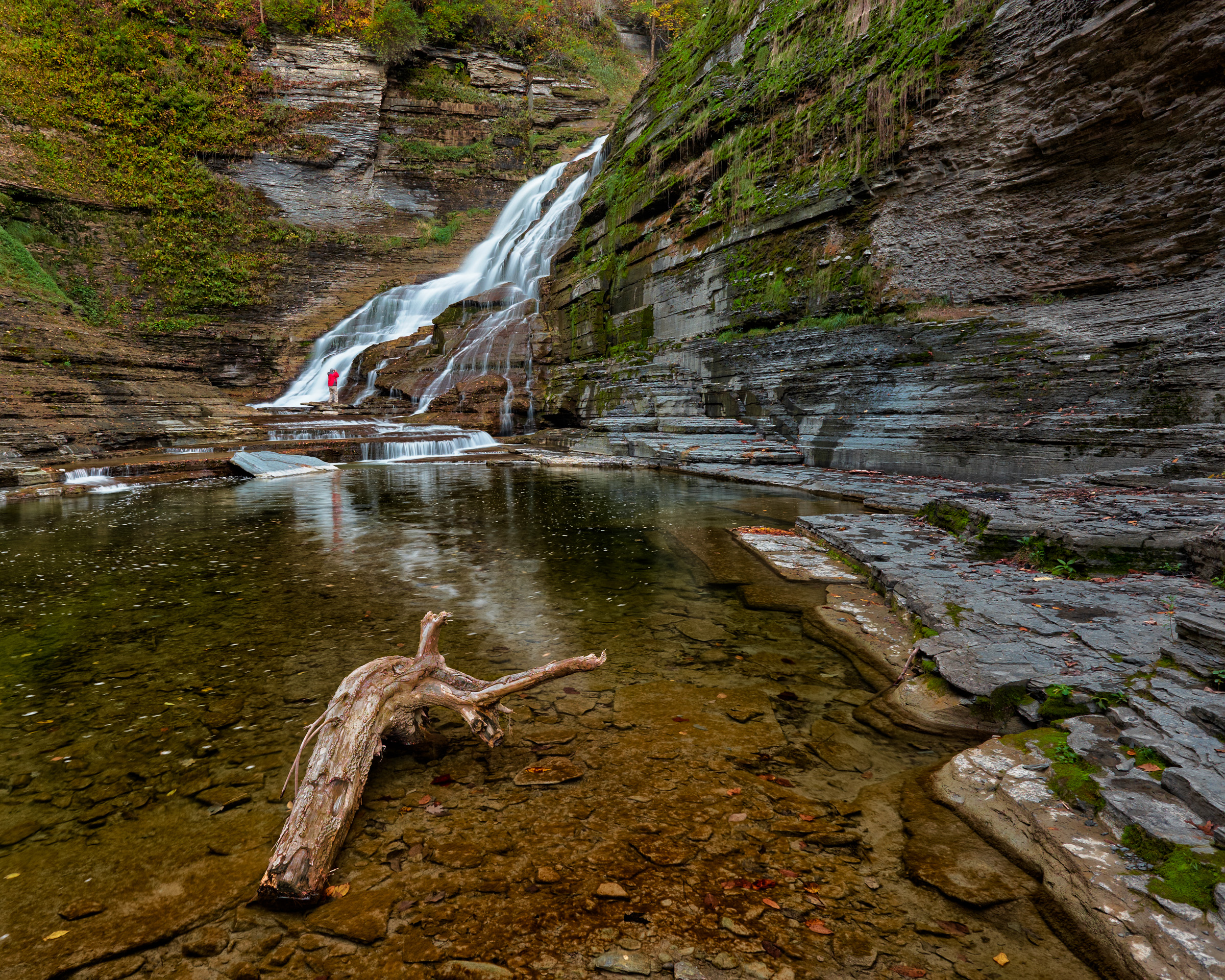 Robert H. Treman State Park