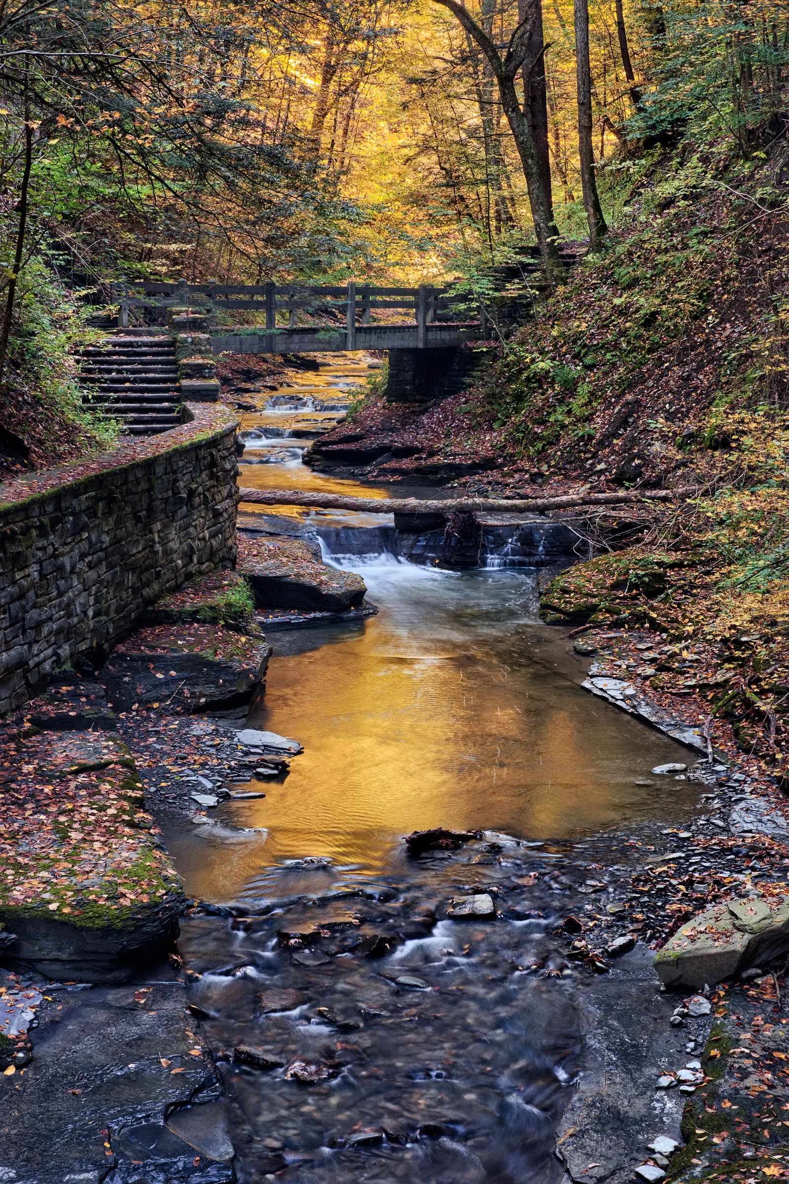 Fillmore Glen State Park