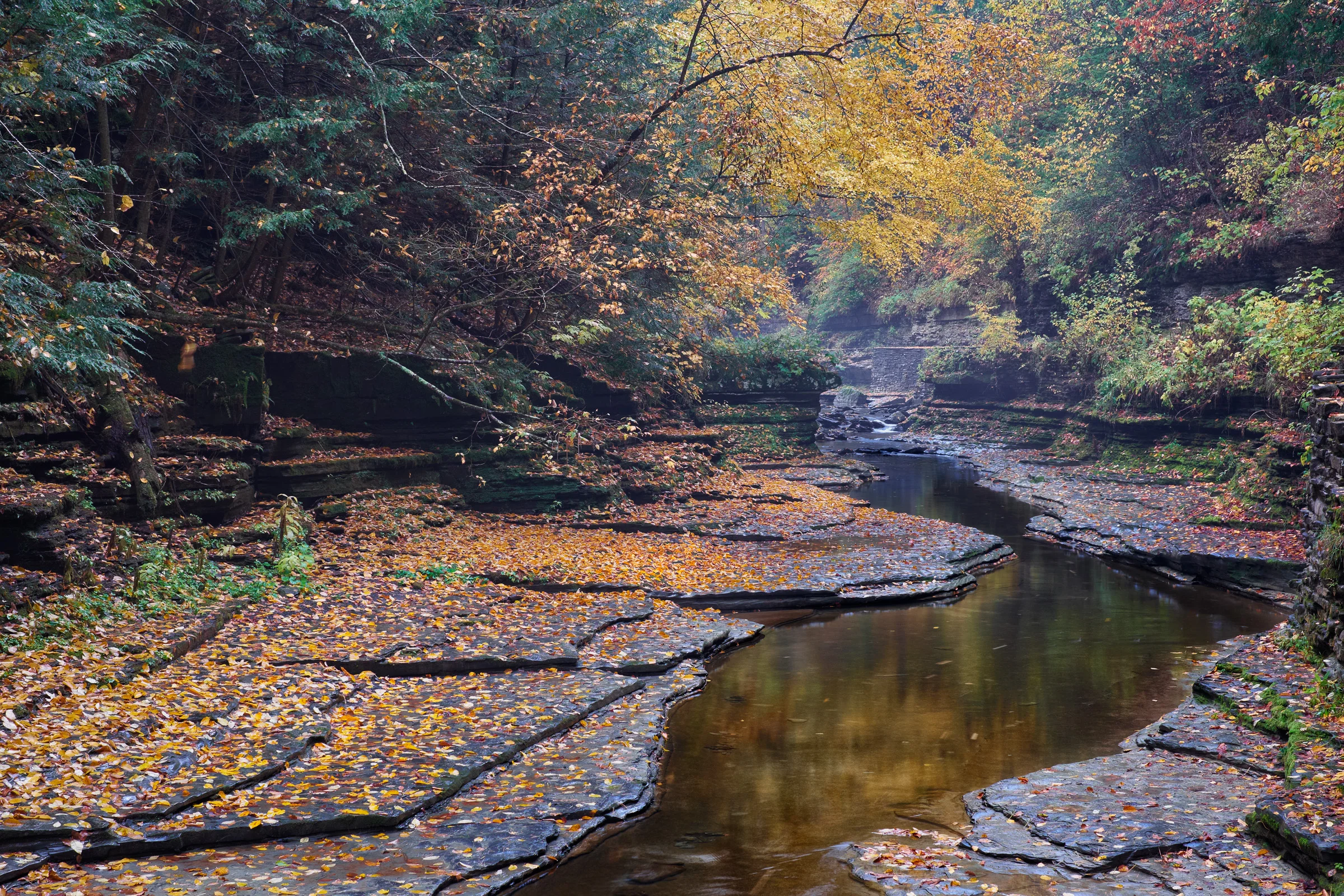 Watkins Glen State Park