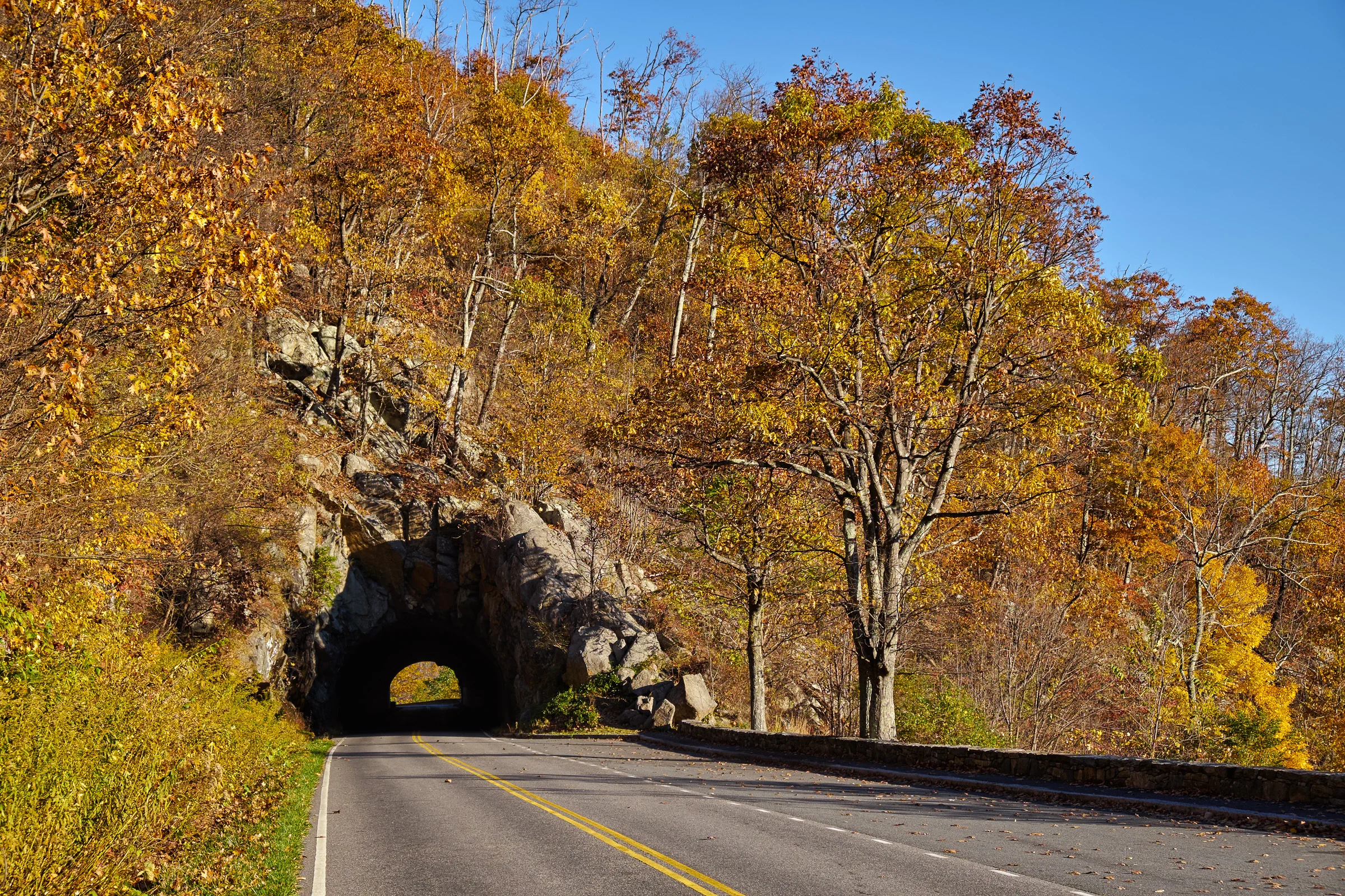 Skyline Drive - Shenandoah National Park