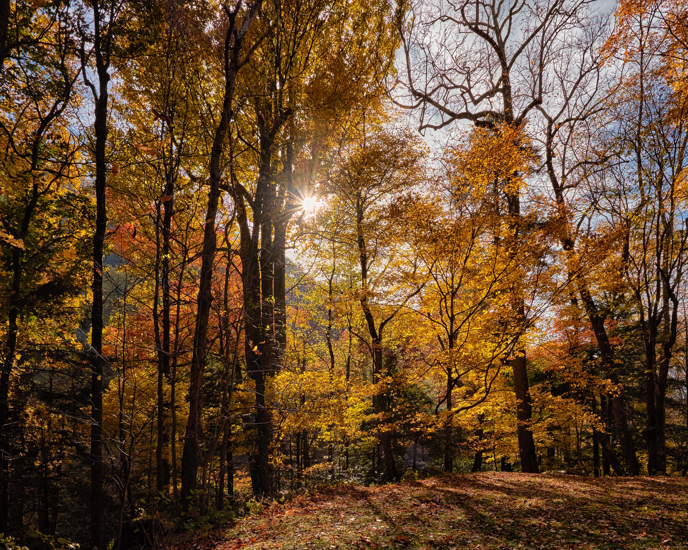 Great Smoky Mountain National Park