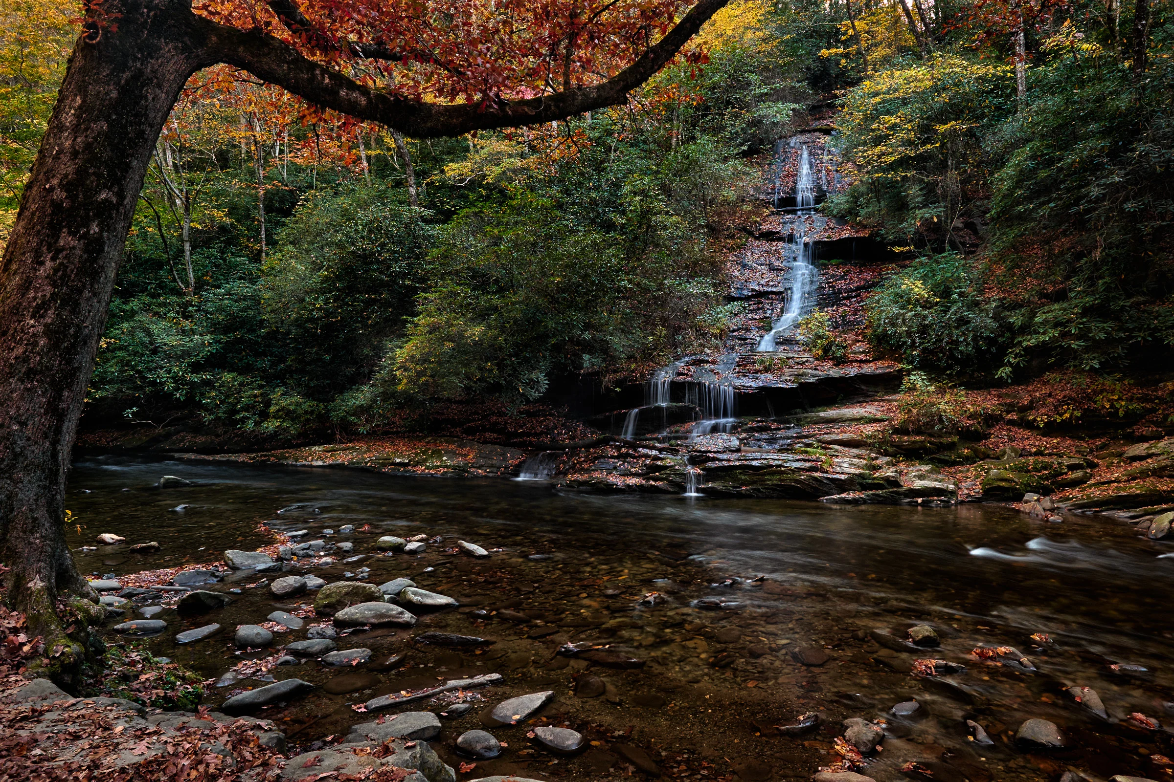 Tom Branch Falls - Deep Creek Area