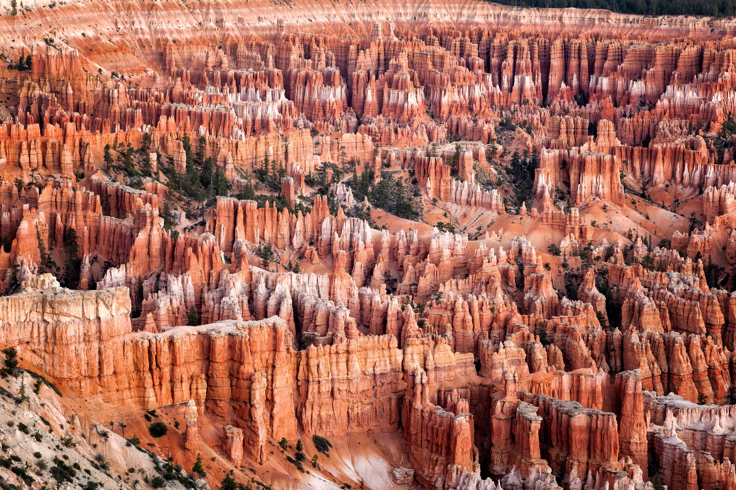 The Amphitheater - Bryce Canyon